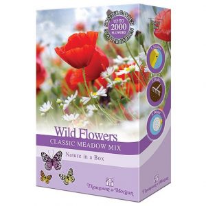 wildflower classic meadow mix at beechmount garden centre