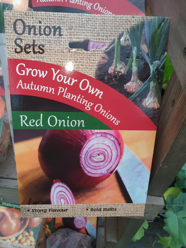 onion sets at beechmount garden centre