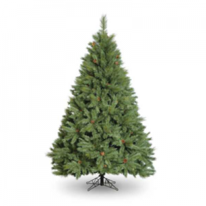 boston pine christmas tree at christmas tree