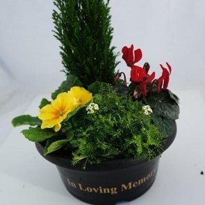 Grave-bowl at beechmount garden centre