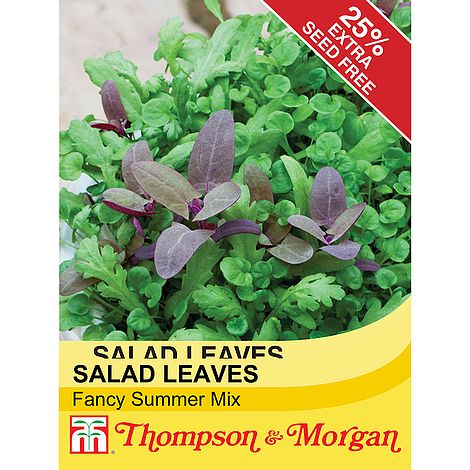 Salad Leaves 'Fancy Summer Mix' at beechmount garden centre