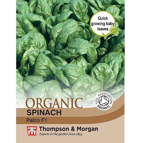 Spinach 'Palco' F1 Hybrid - Organic Seeds at beechmount garden centre