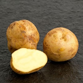 mccain seed potatoes shepody at beechmount garden centre