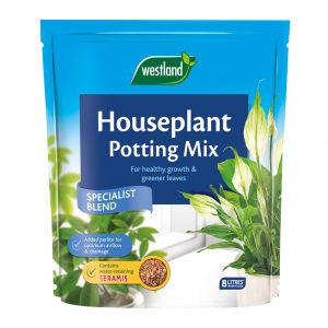 Westland-Indoor-Compost-Houseplant-8L at beechmount garden centre