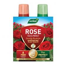 Westland Rose 2 in 1 Feed & Protect at beechmount garden centre