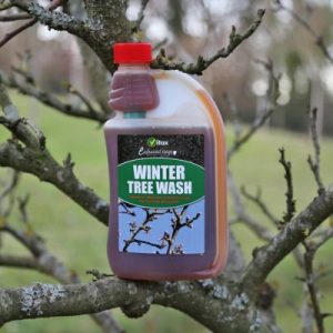 winter tree wash
