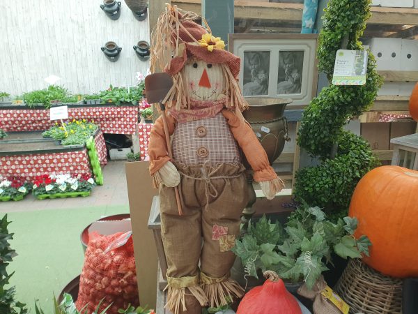 Autumn Scarecrow at beechmount garden centre
