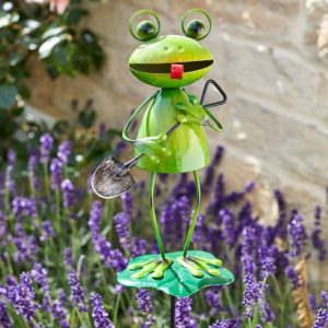 Barmy Frog Stake at beechmount garden centre
