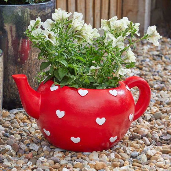Teapot Heart Planter at beechmount garden centre