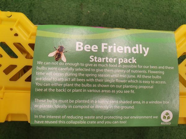 Bee Friendly Starter Pack at beechmount garden centre