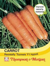Carrot Resistafly ‘Tozresis’ F1 Hybrid at beechmount garden centre
