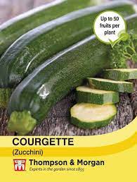 Courgette (Zucchini) at beechmount garden centre
