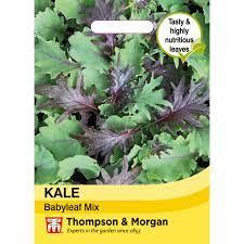 Kale 'Babyleaf Mix' at beechmount garden centre