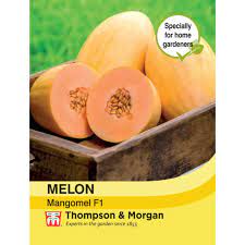 Melon 'Mangomel' F1 Hybrid at beechmount garden centre