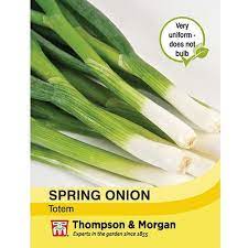 Spring Onion 'Totem' at beechmount garden centre