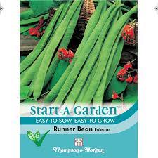 Start A Garden Runner Bean Polestar at beechmount garden centre