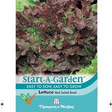 Start A Garden Lettuce 'Red Salad Bowl' at beechmount garden centre