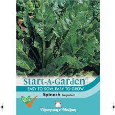 Start A Garden Spinach 'Perpetual' at beechmount garden centre