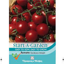 Start A Garden Tomato 'Gardener's Delight' at beechmount garden centre
