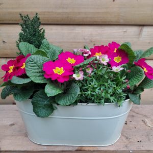 Container Planted Galvanised Trough at beechmount garden centre