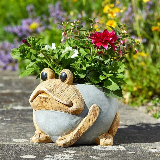 Woodstone Frog Planter at beechmount garden centre
