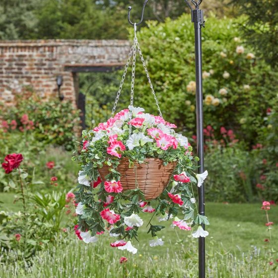 Regal Basket - Summer Bloom at beechmount garden centre