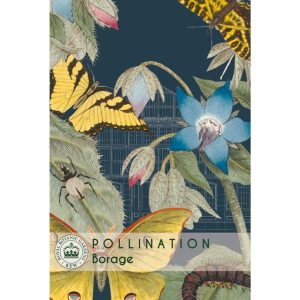 Borage - Kew Pollination Collection at beechmount garden centre