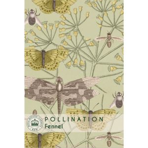 Fennel - Kew Pollination Collection at beechmount garden centre