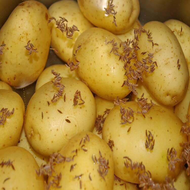 potatoe seeds