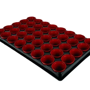 Gro-Sure Growing Tray with 40 Pots at beechmount garden centre