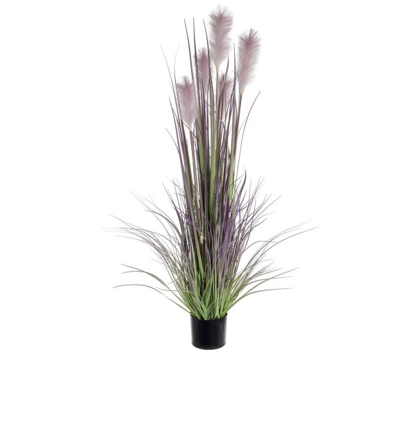 152cm Reed Grass w/Pot Mauve