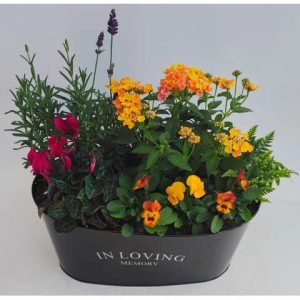 In Loving Memory Planted Container