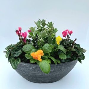 OVAL PLANTER (Silver)