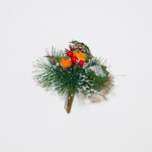 Pick, 2 robins, Berries , Cone