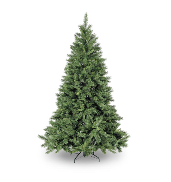 225cm Green Kateson Fir Hinged w/1200 Tips