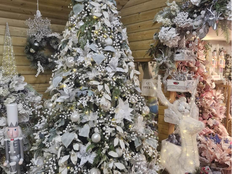 wild winter Christmas