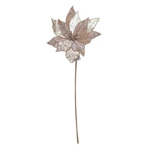 Champagne/Ivory Poinsettia