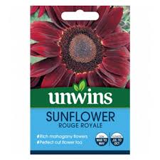 Unwins Sunflower Rouge Royale Seeds
