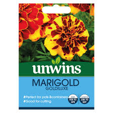 Unwins marigold goldiluxe