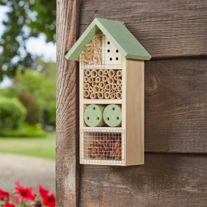 Bug & Bee Home