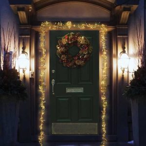 880 LED Door ClusterLights - Warm White, LV
