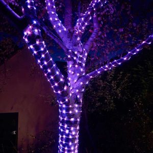 TwoTone String Lights - 200 LEDs - Orange/Purple, LV