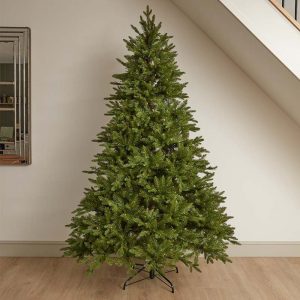 7ft Noble King Conifer