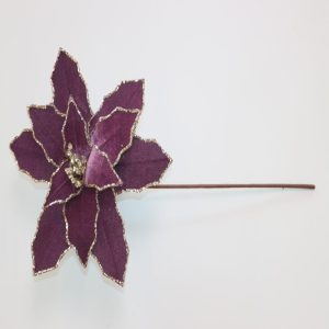 Champ Gltr Plum Poinsettia Flower 45808