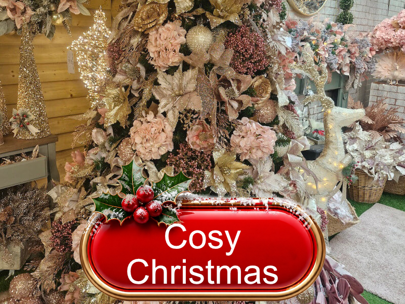 Cosy-Christmas-Beechmount