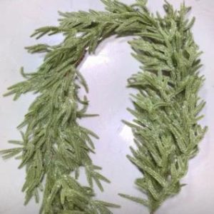 Frosted Nordic Pine Greenery Garland C45680