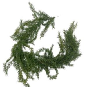 Garland Ceder L205