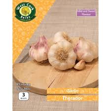 Therador Garlic 3 Bulbs