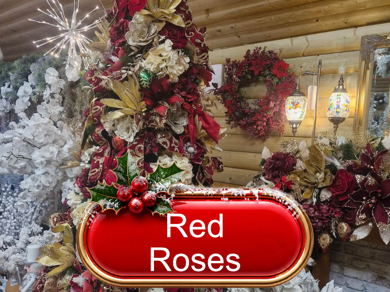 Red-Roses-theme-beechmount
