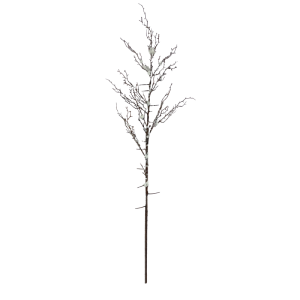 Snowy Branch C45886